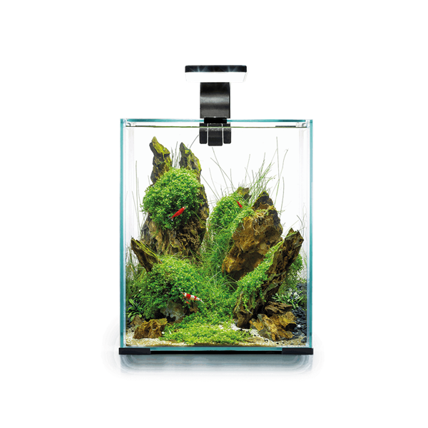 AquaEl Shrimp Set 30L (8 Gallons) - Black
