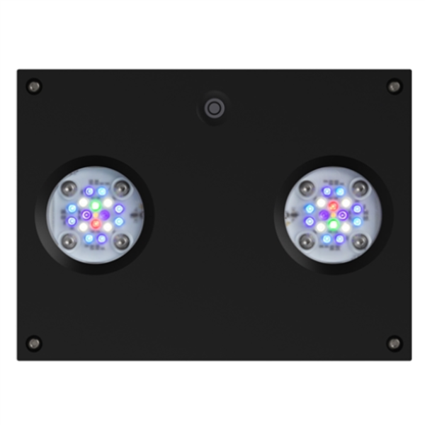 AI Hydra 32HD - BLACK