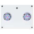 AI Hydra 32HD - WHITE