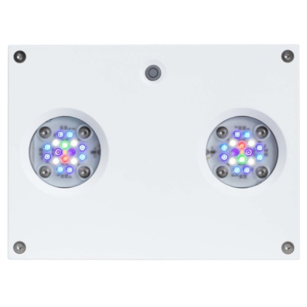 AI Hydra 32HD - WHITE