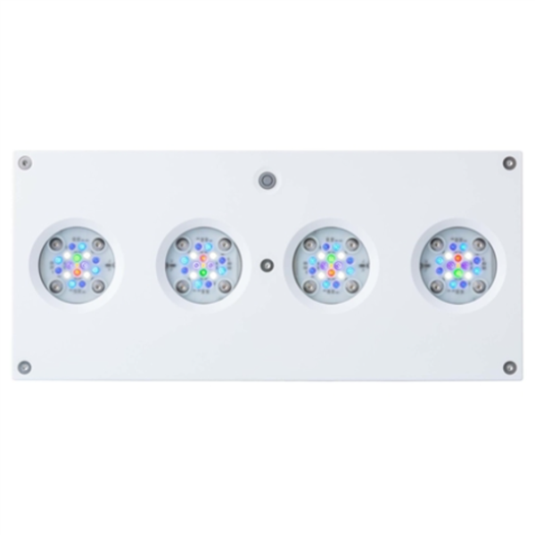AI Hydra 64HD - WHITE