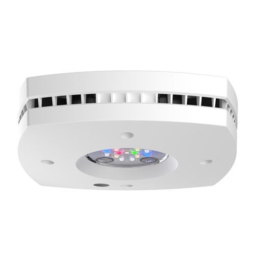 AI Prime 16 FRESHWATER - WHITE