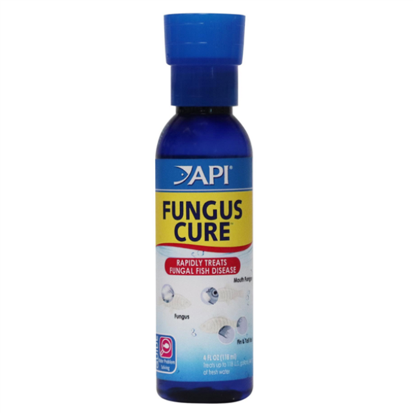 API Fungus Cure 4oz