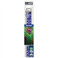 ASF Proten LED Reef Blue 18"-24"