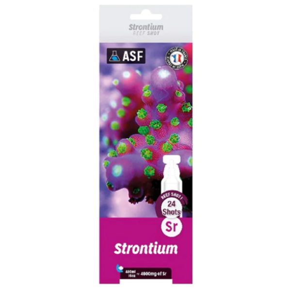 ASF Reef Shots Strontium - 24 Shots