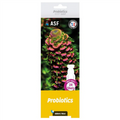 ASF Reef Shots Probiotics - 24 Shots