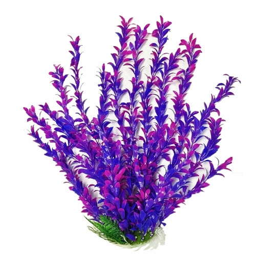 Aquatop Plant Hygrophila Pink/Purple 20"