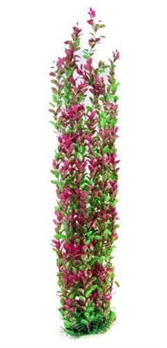 Aquatop Pink & Green Plant 30"