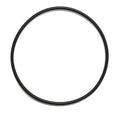 AquaUltraviolet Ultima II Filter O-Ring for 1,000 to 20,000