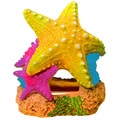 Blue Ribbon Exotic Ornaments - Sea Star Duo
