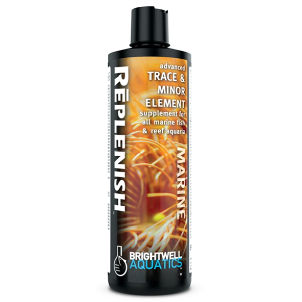 Brightwell Replenish 250mL