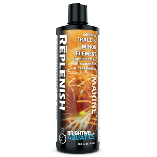 Brightwell Replenish 500mL