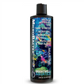 Brightwell MicroBacter START XLM  250mL