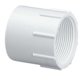 PVC Female Adapter 1.5" - SxT WHITE