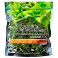 Galapagos Sphagnum Moss Green 4qt