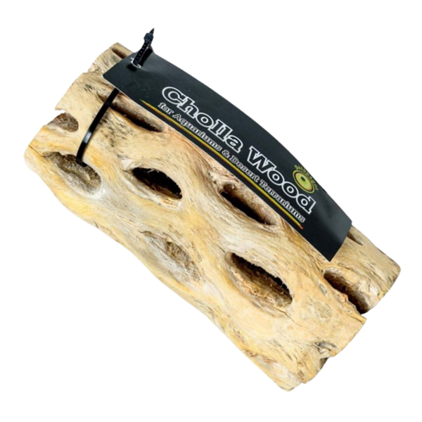 Galapagos Cholla Wood Branches Appx. 12in