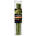 Galapagos Mossy Stick 18" (6 pcs)