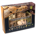Galapagos Terrarium Starter Kit Arid Environment