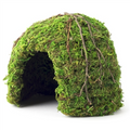 Galapagos Mossy Dome Green 6" Diameter