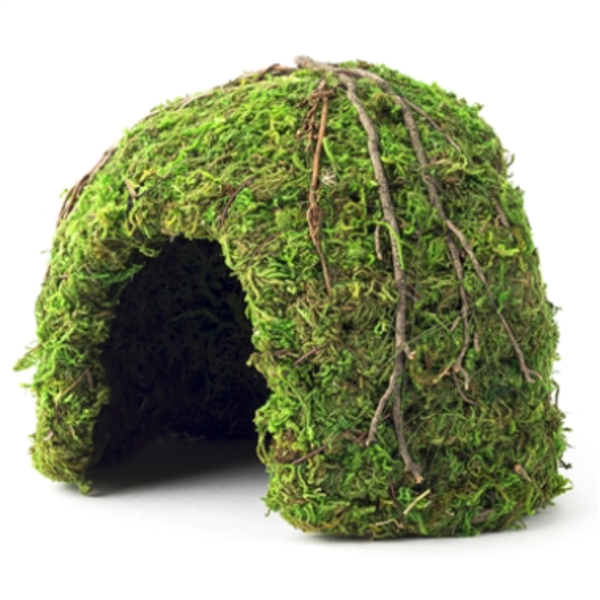 Galapagos Mossy Dome Green 6" Diameter