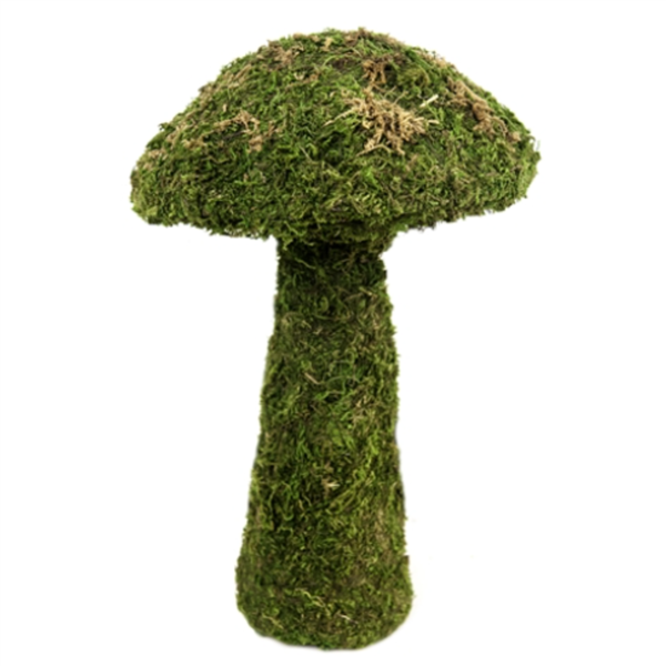Galapagos Moss Mushroom Green SM 11"