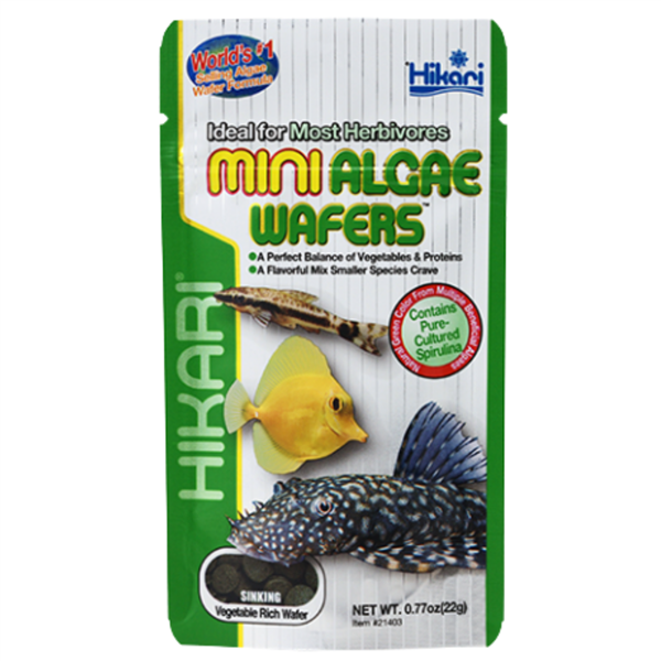 Hikari Mini Algae Wafers 0.77 oz