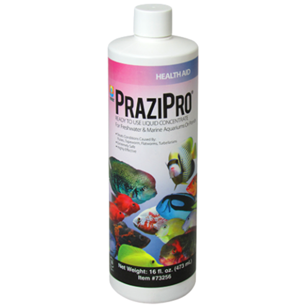 Hikari Prazipro Parasite Treatment 16oz