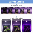Hygger Clip-On Aquarium LED Light - HG033-9W