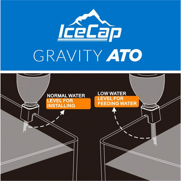 IceCap Gravity ATO