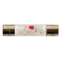 JBJ Replacement Ceramic Fuse for New Style 1/4 & 1/3 HP Chillers 3 Pack