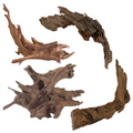 JBJ Malaysian Driftwood - Small 7" - 10"