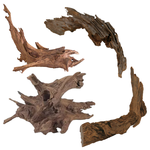JBJ Malaysian Driftwood - Large  16" to 20"