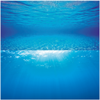 Juwel Poster 2 L - Underwater View Background