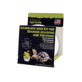 Komodo Grow Your Own Dandelion Kit