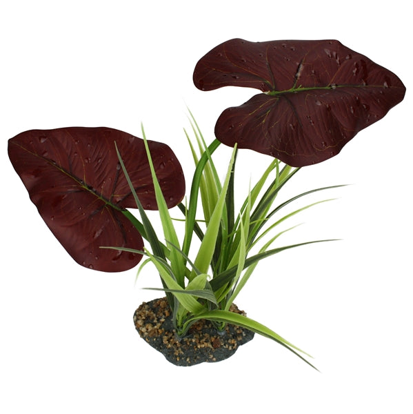 Komodo Rainforest Canopy - 8"