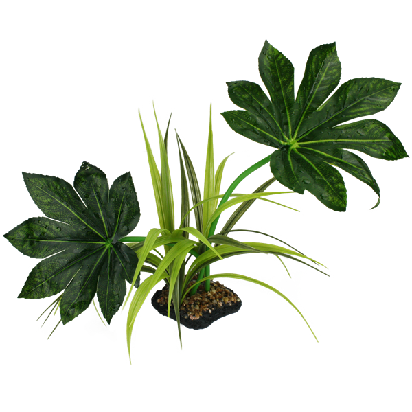 Komodo Jungle Canopy - 10"