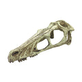 Komodo Raptor Skull - XLarge 12.5"