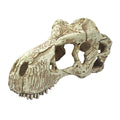 Komodo T-Rex Skull - XLarge 14.5"