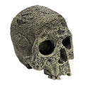 Komodo Human Skull Textured - 4.5"