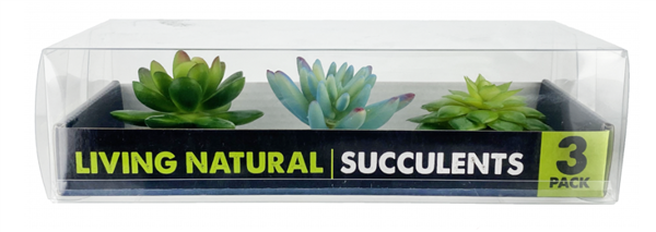 Komodo Succulent 3pk - Blue and Green