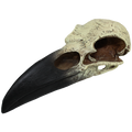 Komodo Raven Skull - Large 8"