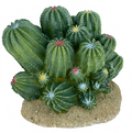 Komodo Barrel Cactus - 4"