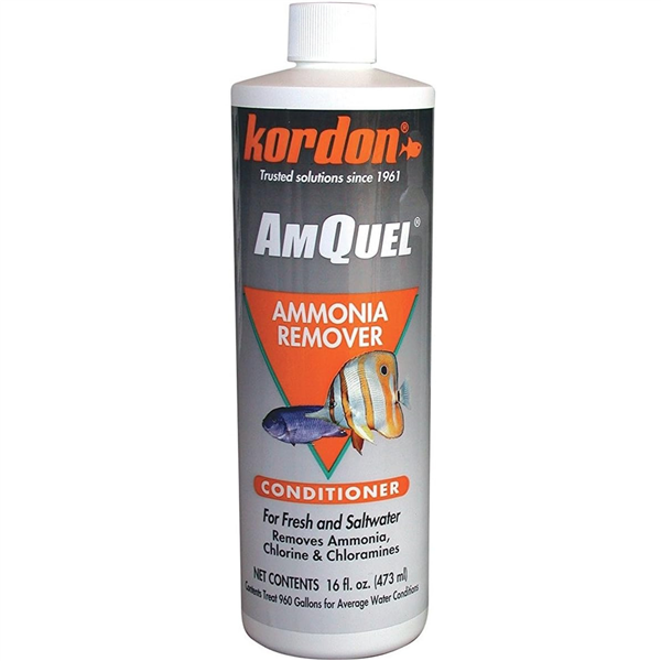 Kordon AmQuel 16oz