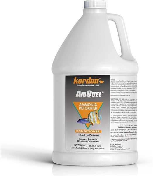 Kordon AmQuel 1 Gallon