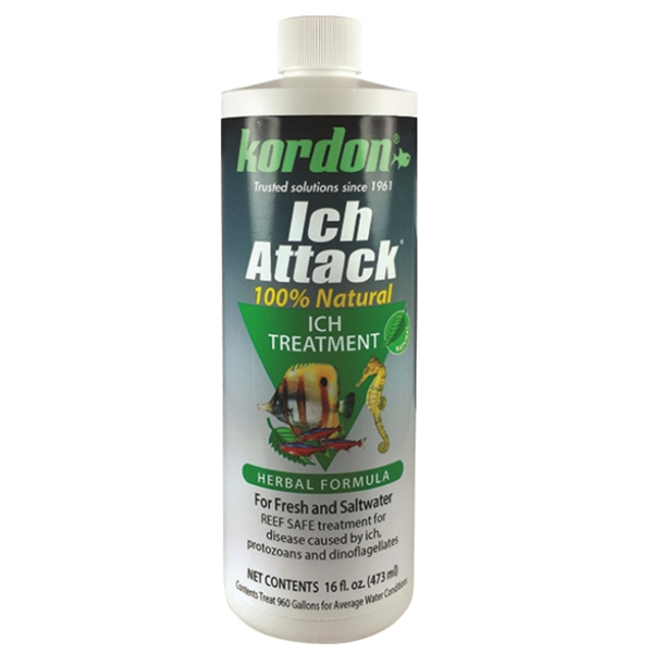 Kordon Ich Attack 16oz