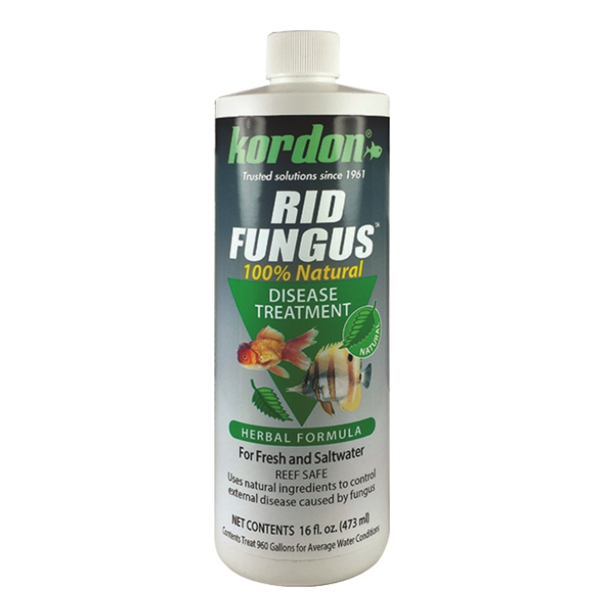 Kordon Rid Fungus 16oz