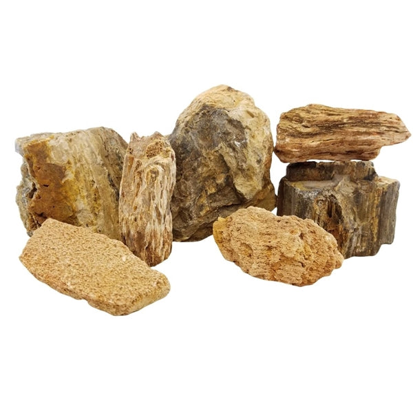 Lifegard Canyon Petrified Stone 25 Gallon Kit