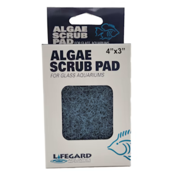 Lifegard Glass Algae Pad 4" x 3"