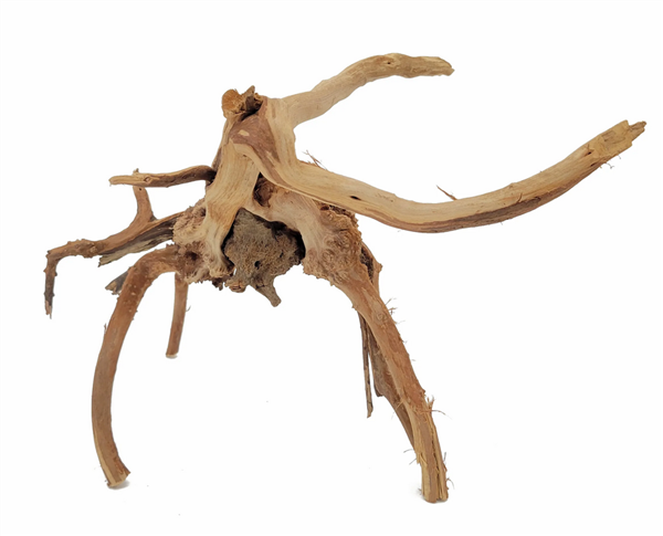 Lifegard Spider Wood Small 6"-9"