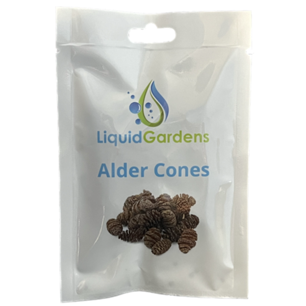 Liquid Gardens Alder Cones 25pk